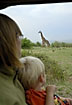 Mother and son looking at a giraffe through the car window